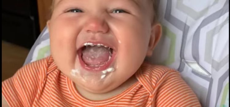 Can Babies Have Heavy Cream