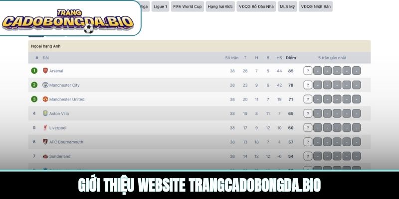 Giới thiệu website baracklevin.com